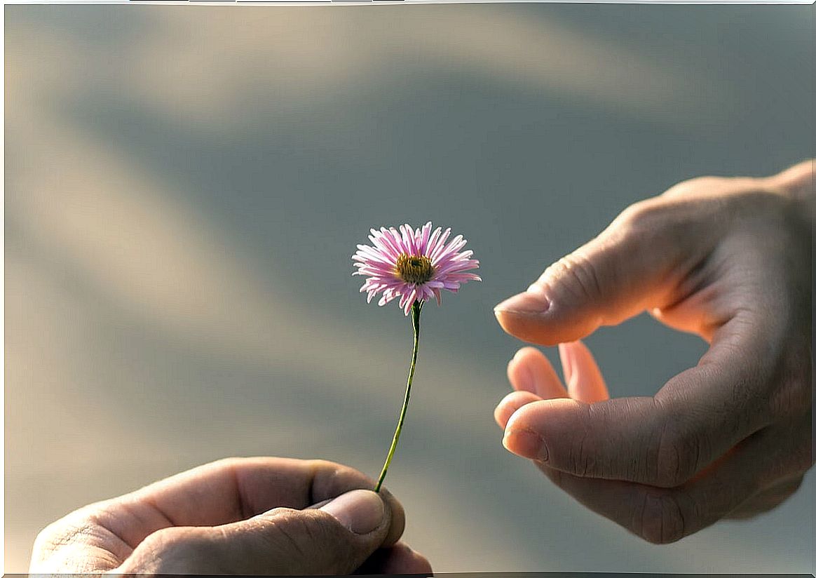 Person giving a flower to another