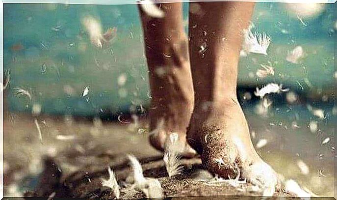 Feet between feathers symbolizing happiness in small acts