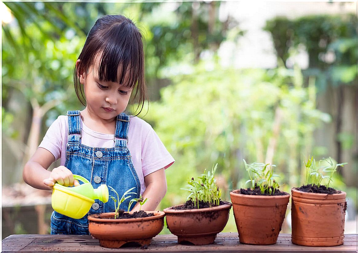 Girl watering plants