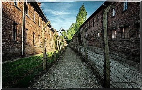 A fantastic love story in Auschwitz