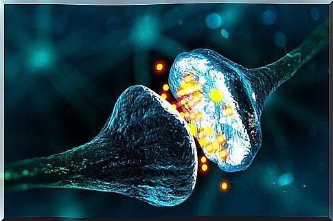 Neurotransmitters