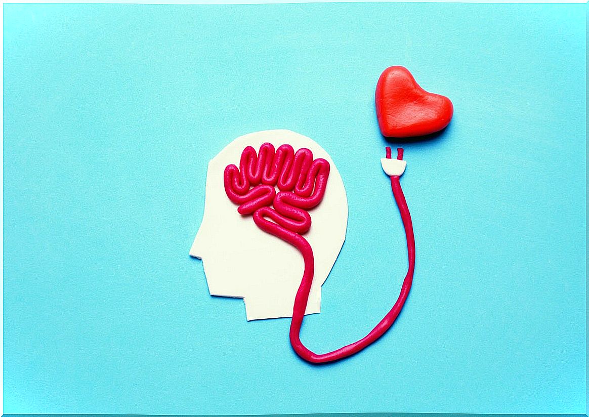 brain connected to heart representing emotional labeling 