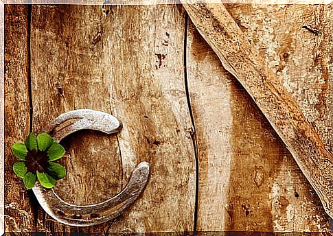 Horseshoe with a green flower