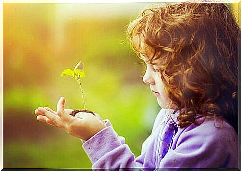 Little girl looking at a plant grow with hope