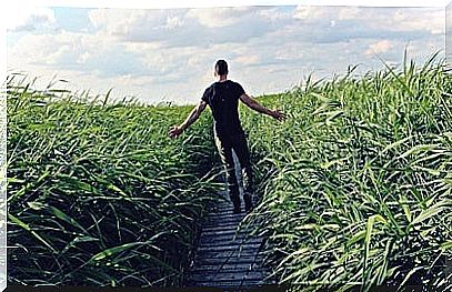 boy among cornfield representing the law of least effort