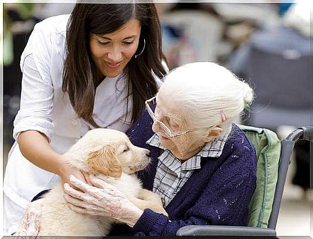 old-woman-with-a-dog