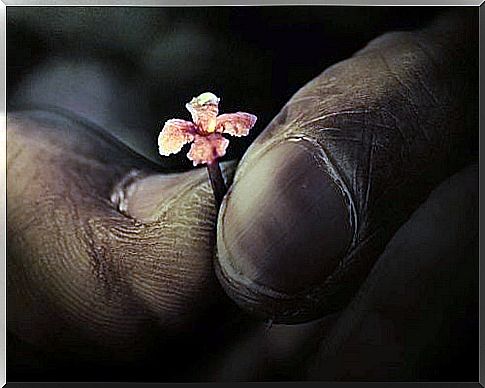 Fingers with flower