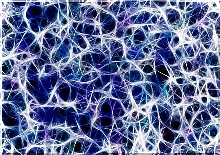 Neuronal plasticity