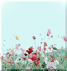 gif flowers