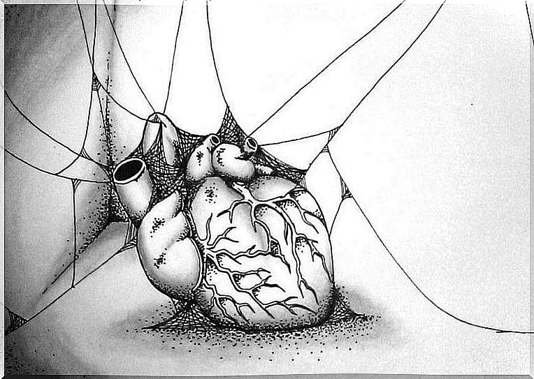 Heart with cobwebs