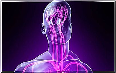 Parasympathetic nervous system