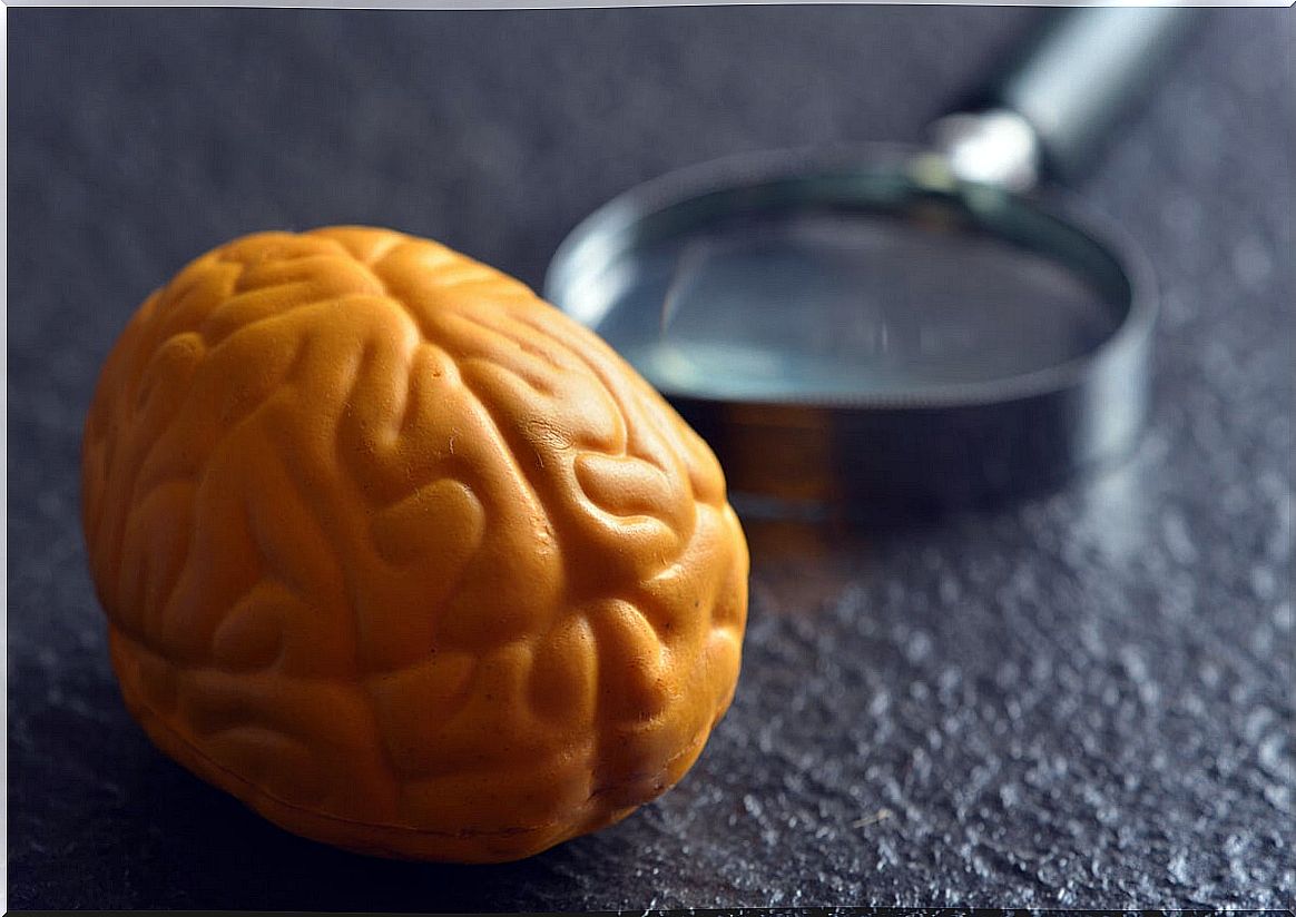 Yellow brain with magnifying glass