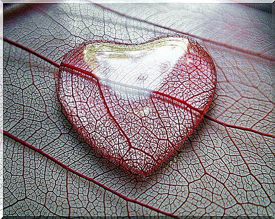 Liquid love, tear on a leaf