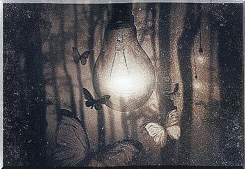 butterflies around knob of light representing those who left us